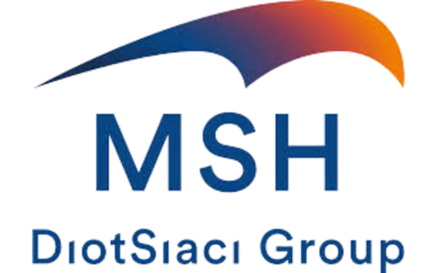 MSH International